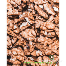 Kernel di noci cinesi dolci e croccanti leggeri ambra